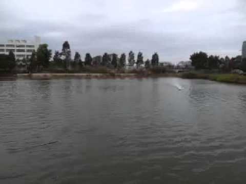 Lam's wing boat (mono2)