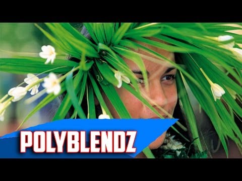 POLYBLENDZ 3 - OUT NOW!!!