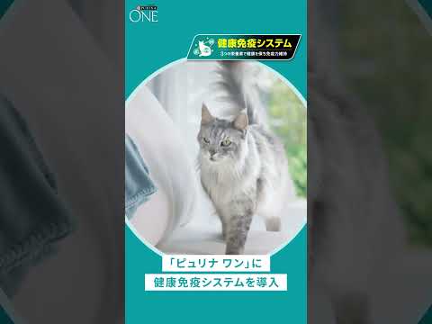 ピュリナについて詳しく解説