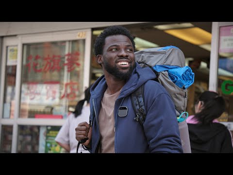 The Human Experience