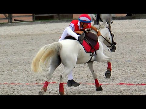 Mounted Games - Falls & Fails - Season 2018