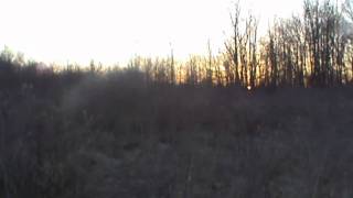 Hank Williams III - "Five Shots Of Whiskey" Fan Video