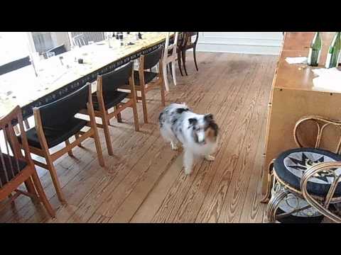 bhumi goes viral :checking out  leftovers on the floor!!