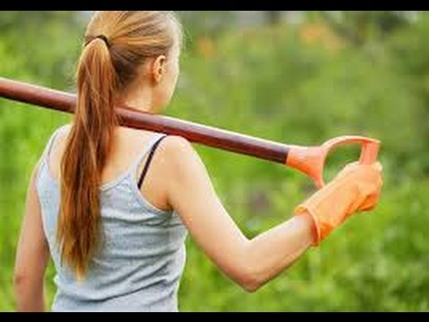 Tv7 con Voi sera del 17/02/2015 - Giovani in Agricoltura (6 di 6)