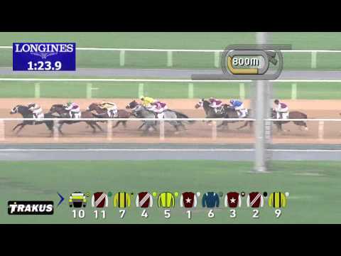 13.01.2015 Meydan (Dubai/UAE) 6.Race Al Naboodah Construction Group Trophy - Handicap  2.000 m