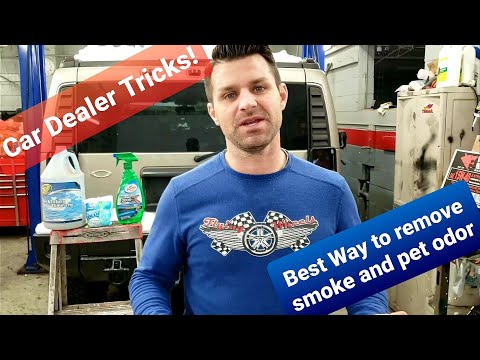 DEALER TRICKS! Best Way to Remove Smoke and Pet Odor
