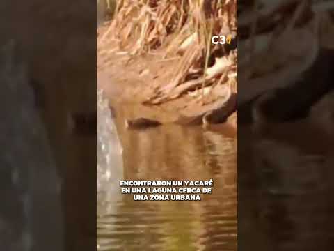 🐊 SORPRESA EN CÓRDOBA | Cadena 3 Argentina