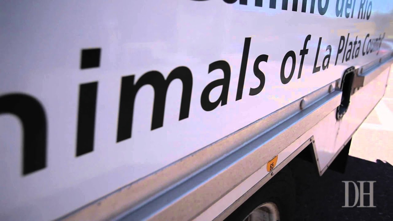 Humane Society Thrift Store