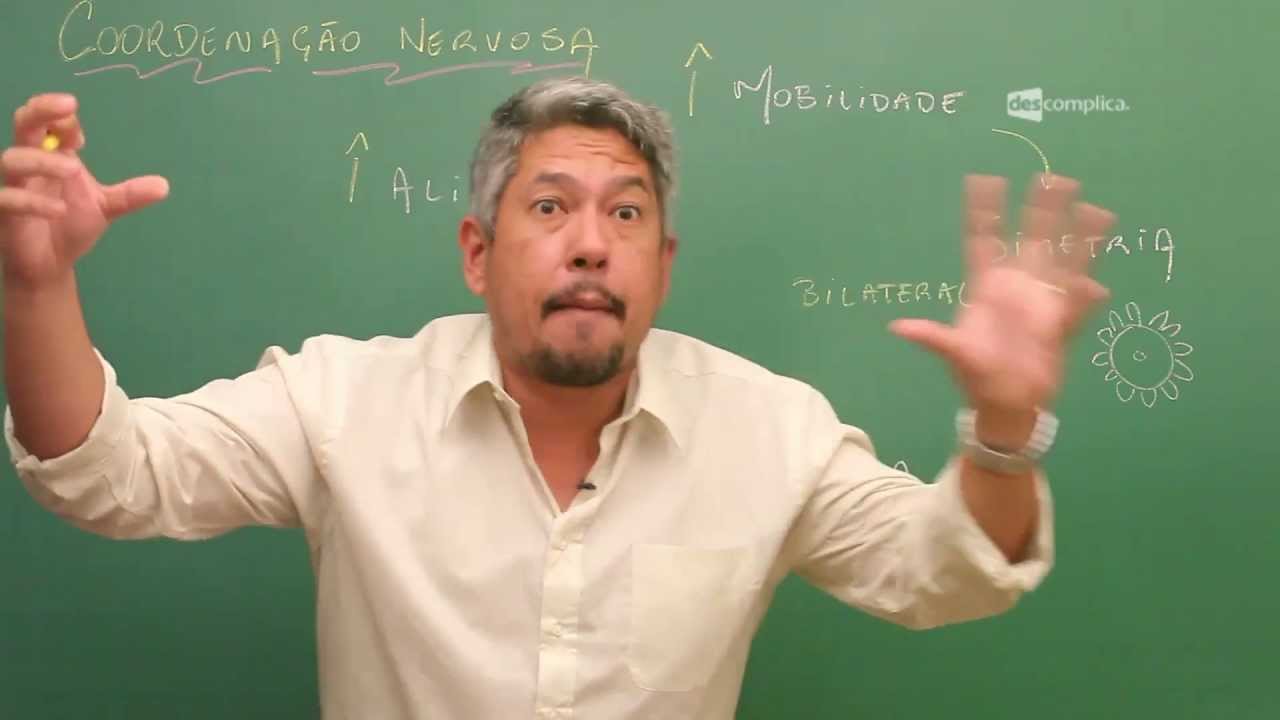 O que é Coordenação Nervosa? - Extensivo Biologia | Descomplica