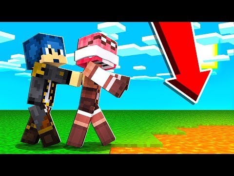 GIOCARE A MINECRAFT SENZA VEDERE! *SCHERZO DI STEF*