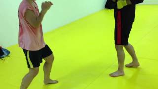 lo kick pin point hit training with a bat