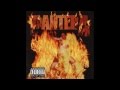 Pantera - Revolution Is My Name (HQ)