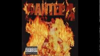 Pantera - Revolution Is My Name (Lyrics in description)