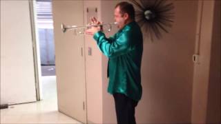 The 2016 Brian Setzer Orchestra Trumpet Section (BTBLOG 12)