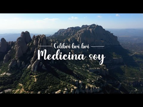 Colibri bri bri - Medicina Soy (feat. Egoitz Uriarte Arbaizagoitia)