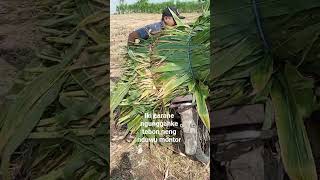 Download lagu Ngunggahke tebon neng nduwu montor mp3