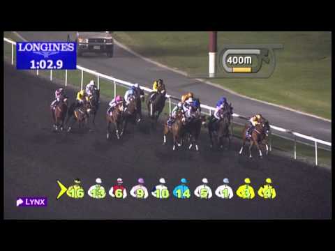 10.01.2013 Meydan (Dubai-UAE) 2.Race Longines Saint Imier - 1.400 m