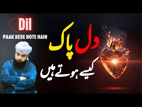 Dil Paak Kese Hote Hain || Muhammad Raza Saqib Mustafai