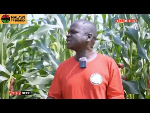 ZA NEEF - NATIONAL ECONOMIC EMPOWERMENT FUND MALAWI 2025 | Malawi Trending