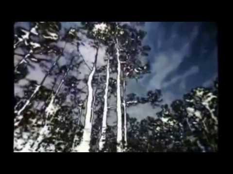 Depeche Mode vs. Linkin Park - Castle of Truth (MashUp)