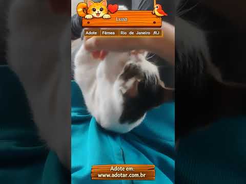 Vídeo de Luna