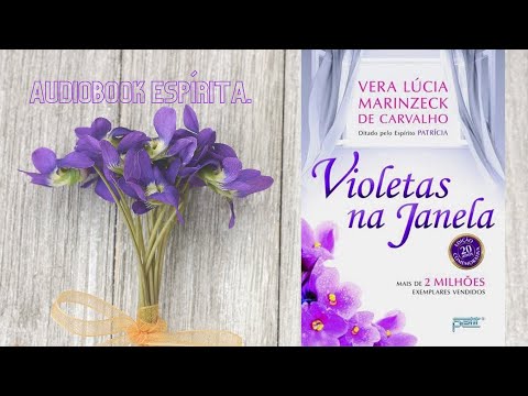 AudioBook Espírita / Violetas Na Janela /  HISTÓRIA ESPÍRITA  /  Estudo Espírita / Patrícia Braghini