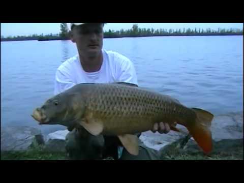 Avantura u Kanadi-carp fishing-St.Lawrence River-II