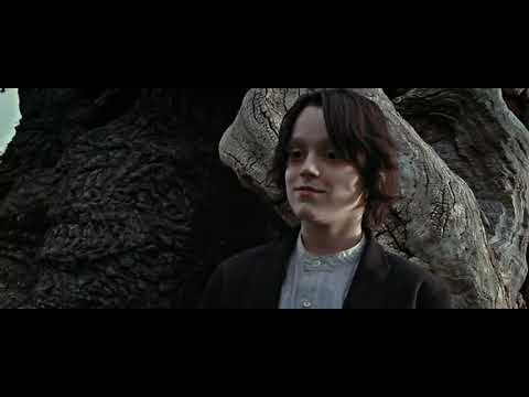 afbeelding And you're special - Harry Potter and the Deathly Hallows: Part 2