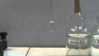 SO2 + H2S (H2O)
