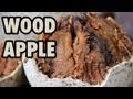 Eating a Wood Apple: Delicious Fruit with a Funky ...