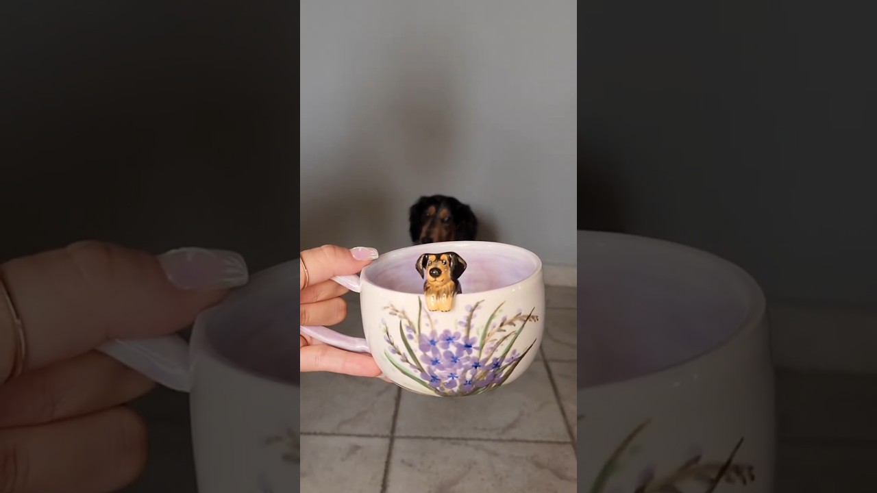 Couple of Things Custom Pet Mug Unboxing