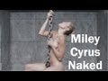 Miley Cyrus NAKED Shots Compilation From Wrecking Ball New Music Video WATCH HERE