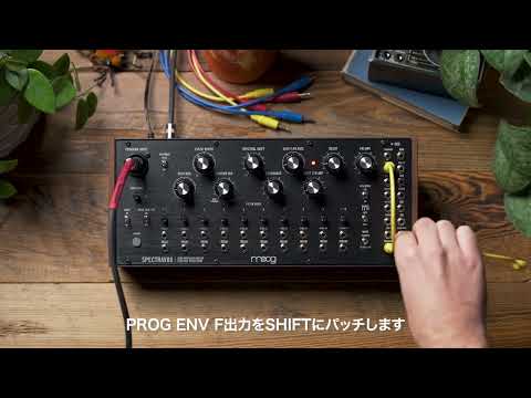 Moog Spectravox Semi Modular Spectral Processor *AUTHORIZED DEALER image 8