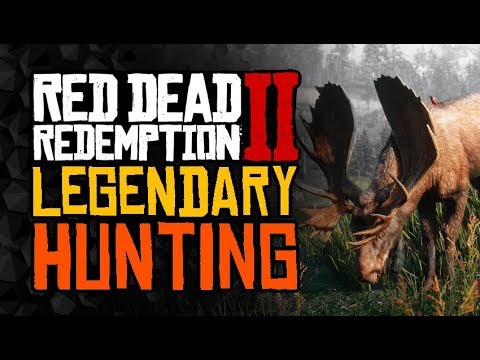 Guide For HUNTING And LEGENDARY Animals - Red Dead Redemption 2