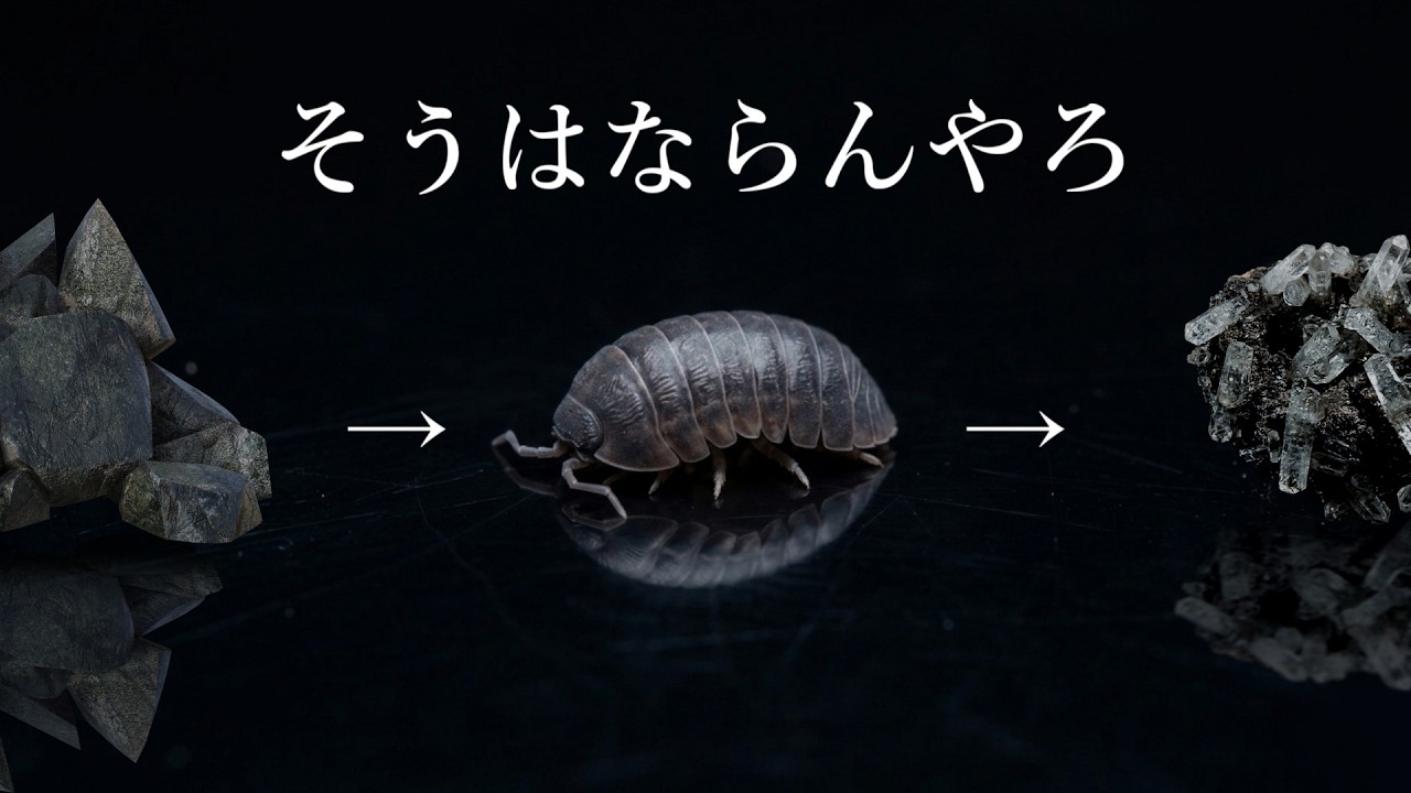 石を食った結果、なぜか別の物質になるダンゴムシ