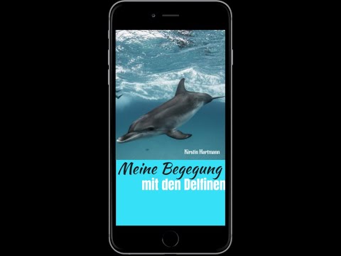Video Vorschau