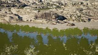 Newswise:Video Embedded map-reveals-ancient-australian-landscape-from-60-000-years-ago