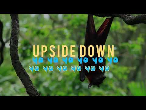 DJ JUMP Feat.  KIM LUKAS - Upside Down 2019