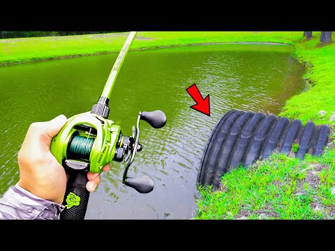 This TROPHY Pond is LOADED w/ GIANT Bass (Bank Fishing)