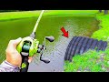 This TROPHY Pond Is LOADED W GIANT Bass Bank Fishing