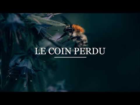 Gabriel Ananda feat. Wally Tale • Brummer (Original Mix)