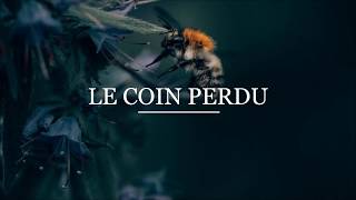 Gabriel Ananda feat. Wally Tale • Brummer (Original Mix)