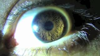 Maxxi Soundsystem & DRW - Open Your Eyes ft. Royston (Video Edit)
