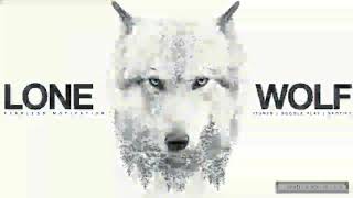 Never give up in your Life ..... Like a Wolf