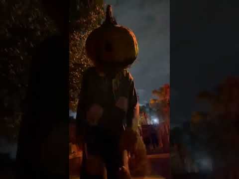 Pumpkin Head at Howl o Scream Tampa! 🎃🎃 #shorts #howloscream #buschgardenstampa