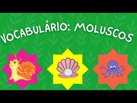 VOCABULÁRIO: MOLUSCOS
