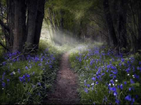 Atlanta - Trance Is Our Passion