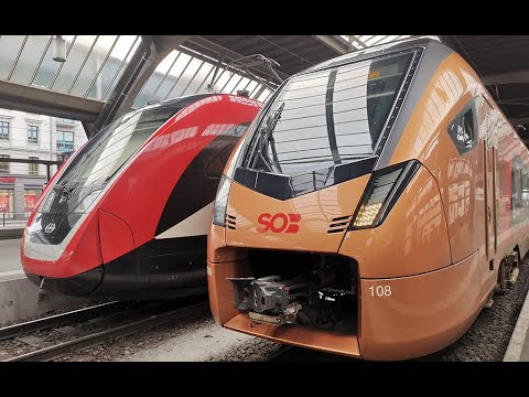 Führerstandsfahrt Art Goldau - Zug - Zuerich