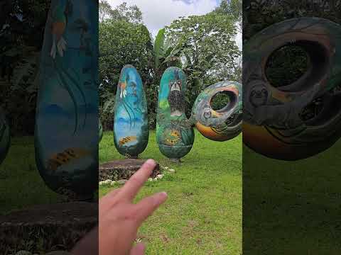 Biolley en Buenos Aires de Puntarenas #costarica