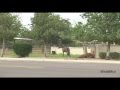 TRAIN HORN PRANK ANIMAL COMPILATION